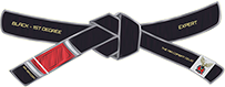 Expert (Black Belt 1st Degree)