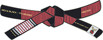 Master (Black Belt 7th Degree)